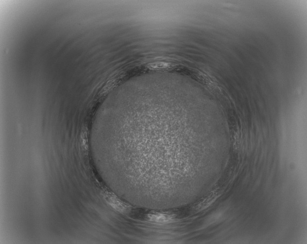 X0000064770561200602241958