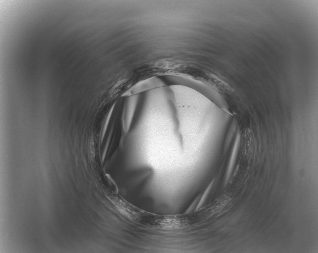 X0000064770562200602241958