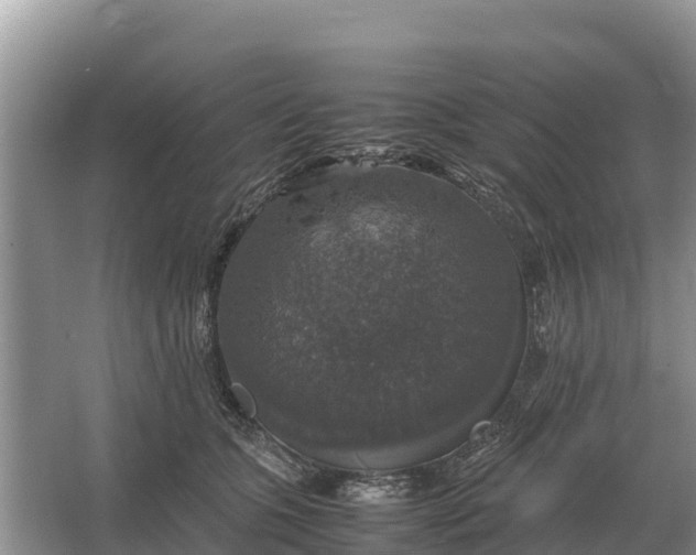 X0000064770563200602241958