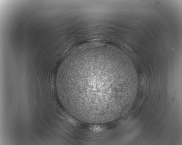 X0000064770565200602241958