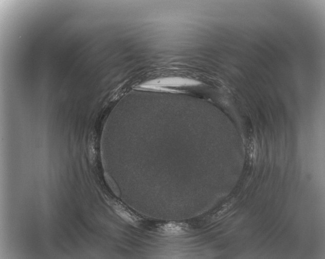 X0000064770566200602241958