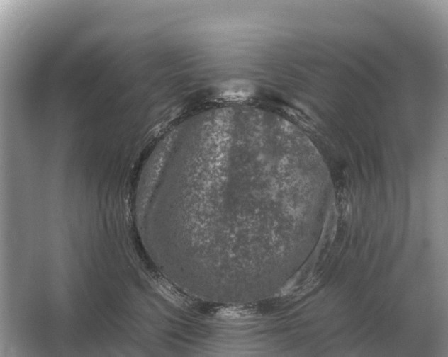 X0000064770568200602241958