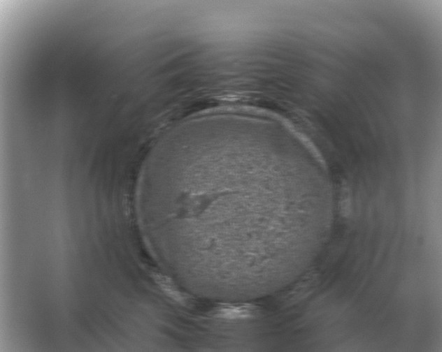 X0000064770569200602241958