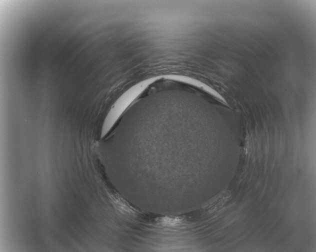 X0000064770570200602241958