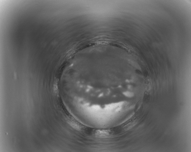 X0000064770573200602241958