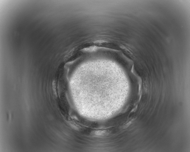 X0000064770575200602241958