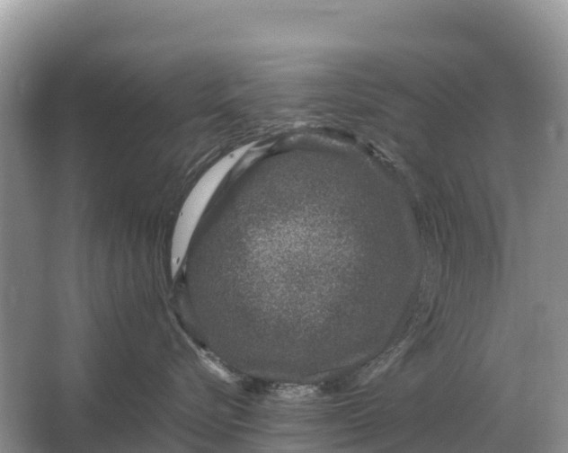 X0000064770576200602241958