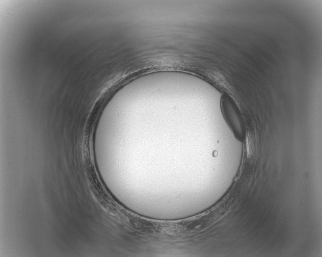 X0000064770579200602241957