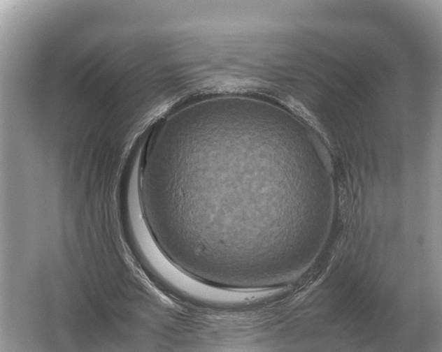 X0000064770581200602241957