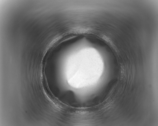 X0000064770582200602241957