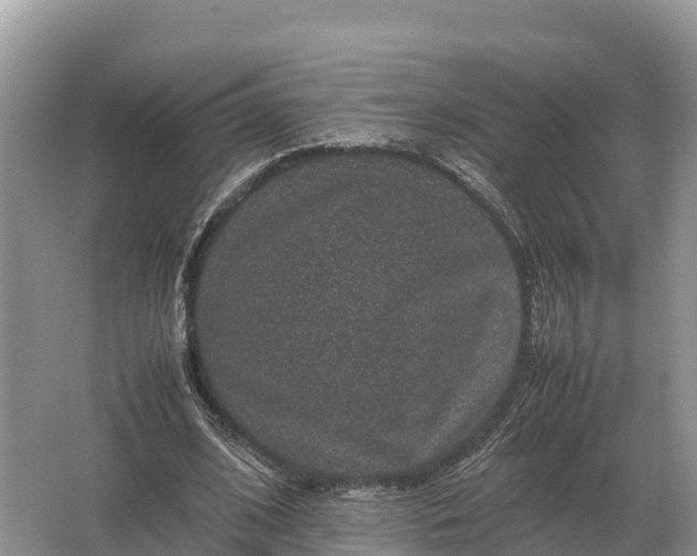 X0000064770584200602241957