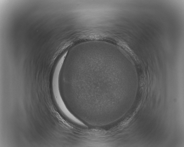 X0000064770585200602241957