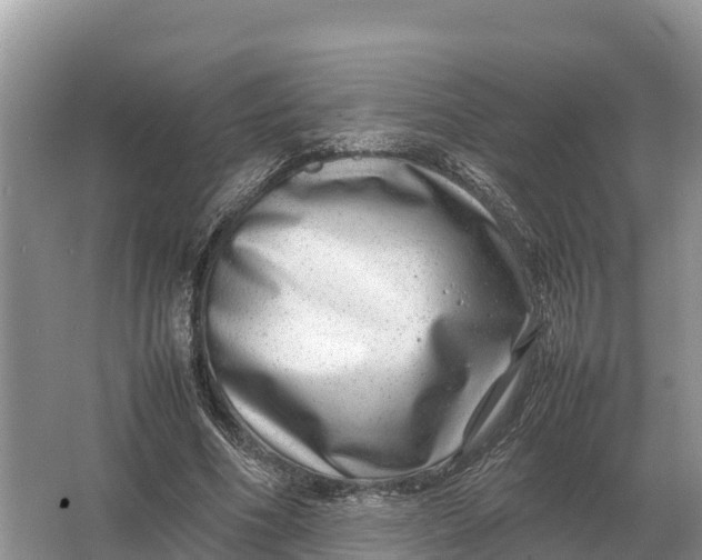 X0000064770586200602241957