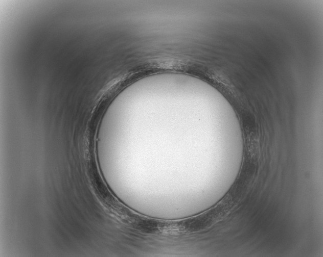 X0000064770587200602241957