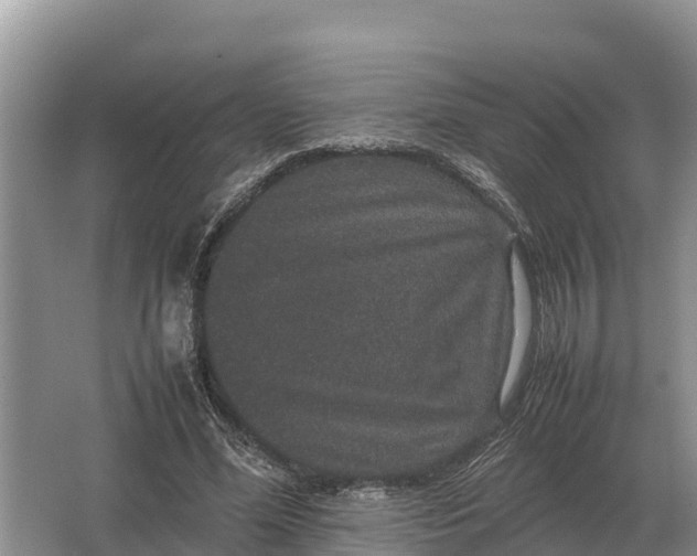 X0000064770588200602241957