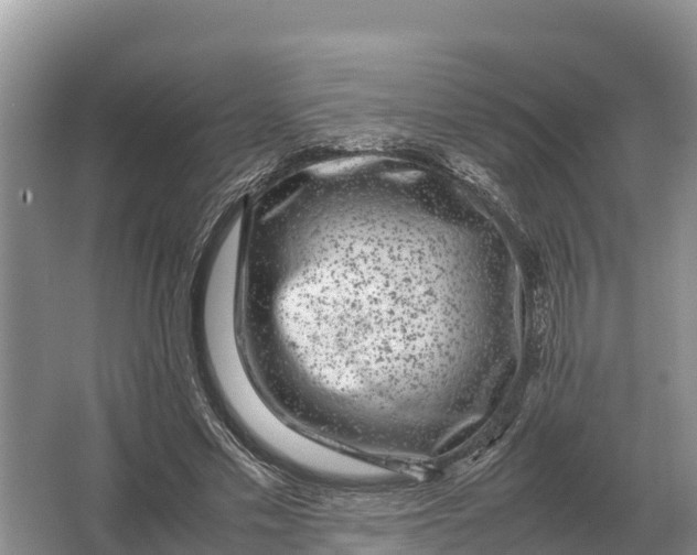 X0000064770589200602241957