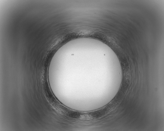 X0000064770591200602241957