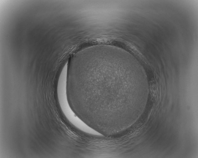 X0000064770593200602241957