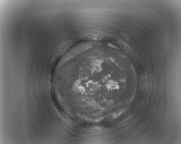 X0000064770594200602241957