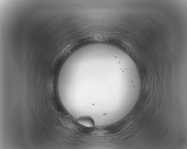 X0000064770595200602241957