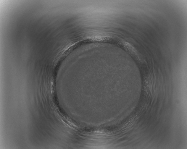 X0000064770596200602241957