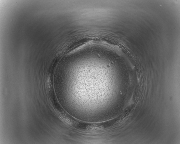 X0000064770597200602241957