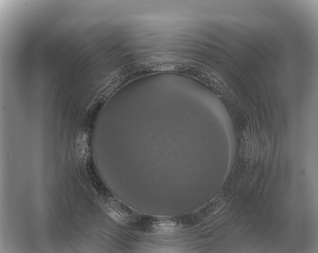 X0000064770598200602241957