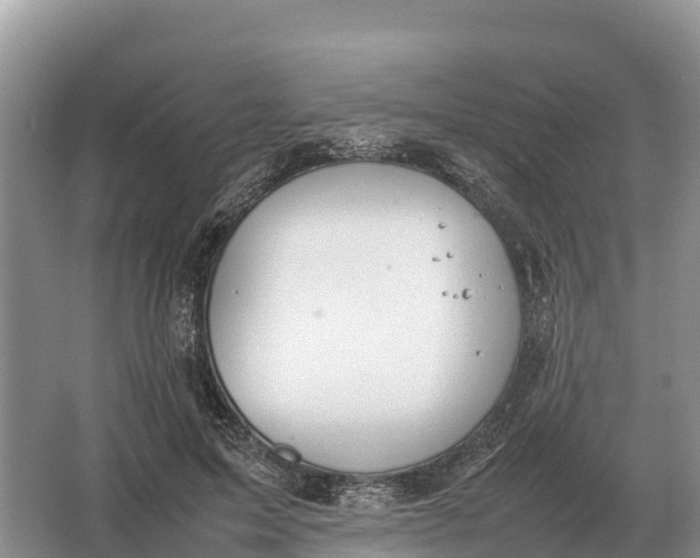 X0000064770599200602241957