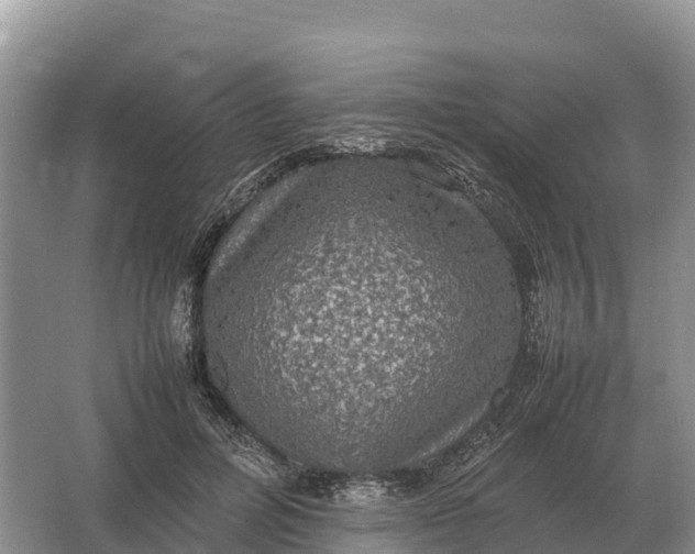 X0000064770600200602241956