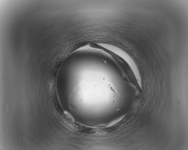 X0000064770601200602241956