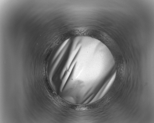 X0000064770602200602241956