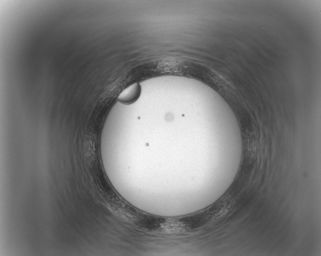 X0000064770603200602241956