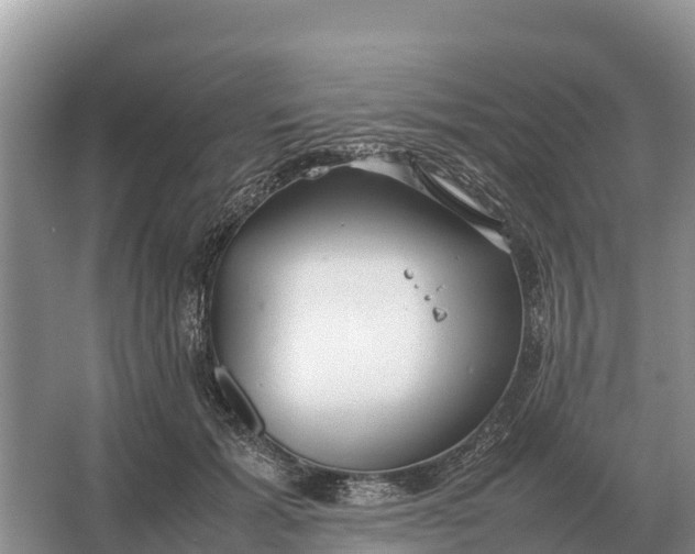 X0000064770605200602241956