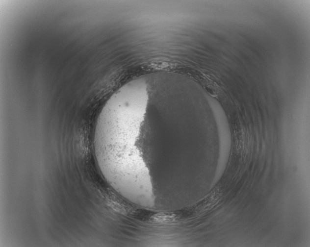 X0000064770606200602241956