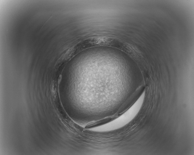 X0000064770607200602241956