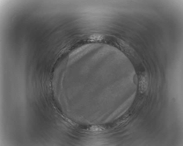 X0000064770608200602241956