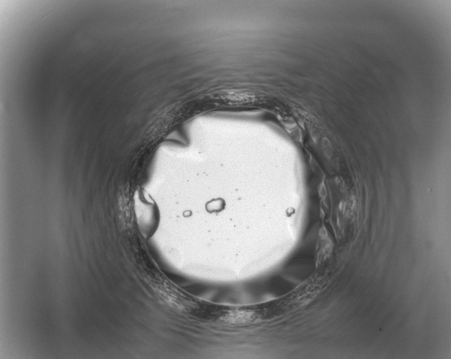 X0000064770609200602241956