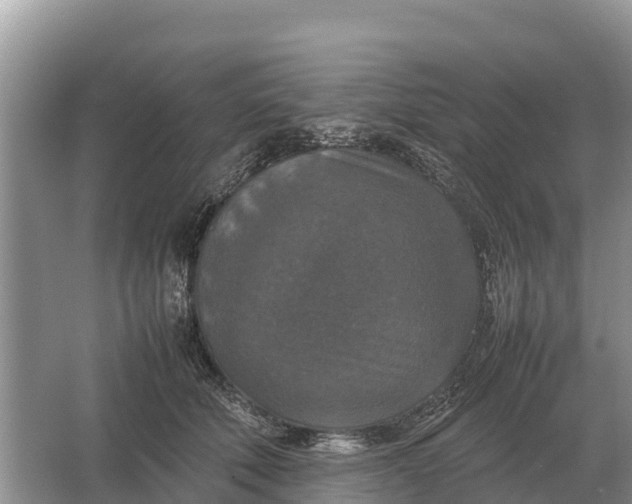 X0000064770610200602241956