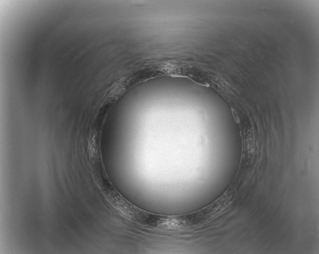 X0000064770611200602241956