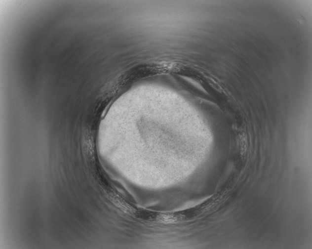 X0000064770613200602241956