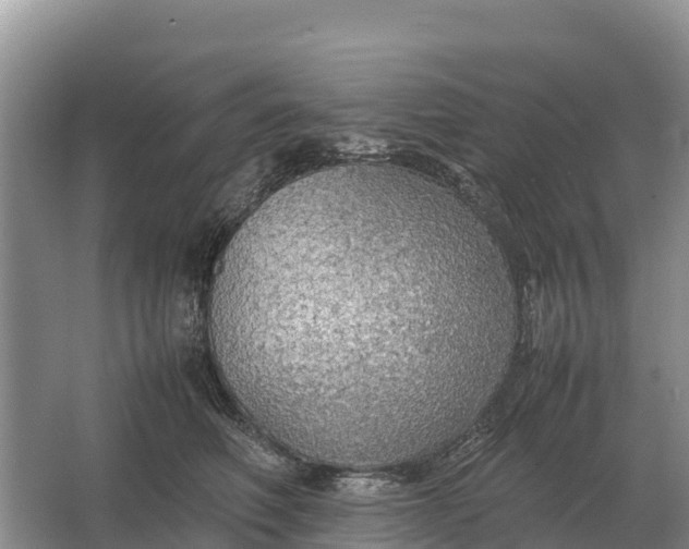 X0000064770614200602241956