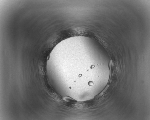 X0000064770615200602241956