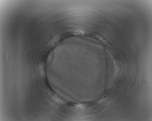 X0000064770616200602241956