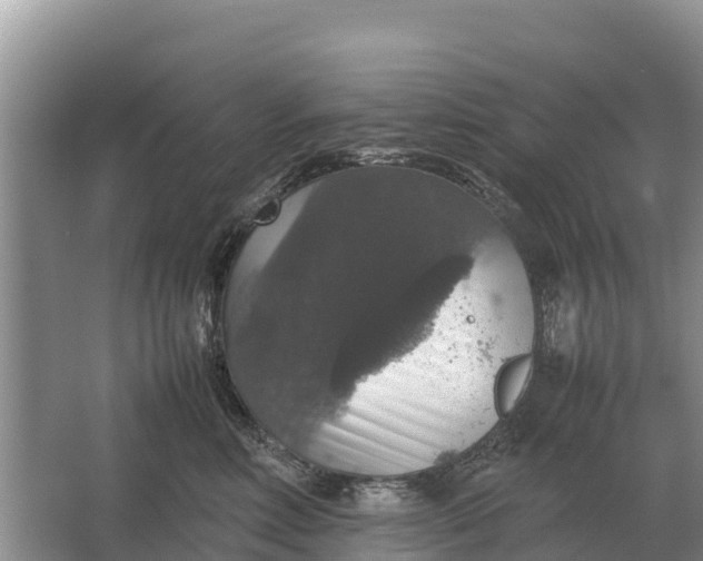 X0000064770618200602241956