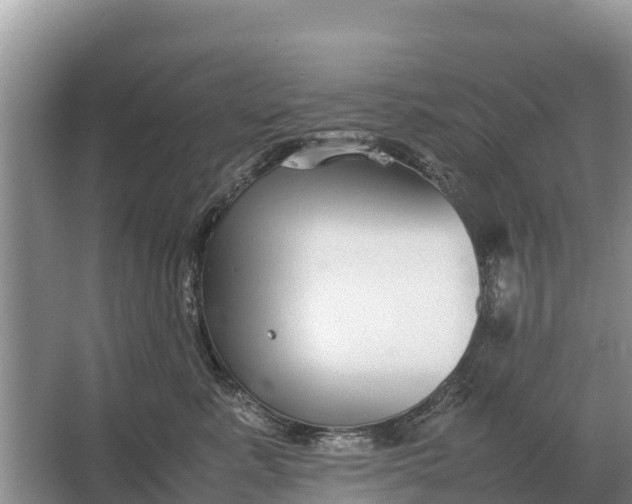 X0000064770619200602241956