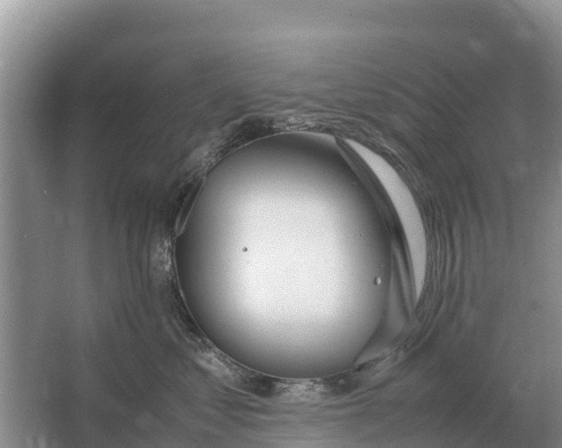 X0000064770621200602241956