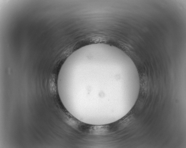 X0000064770622200602241956