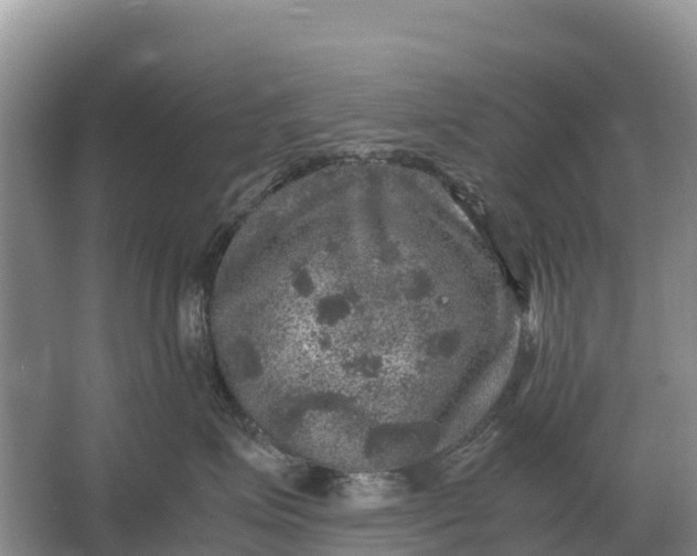 X0000064770623200602241956