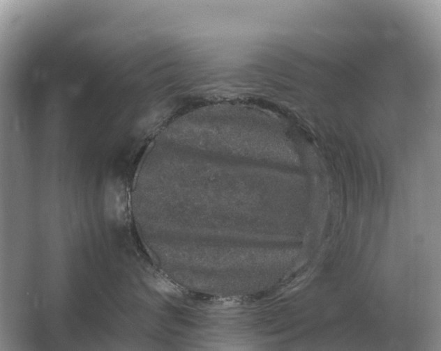 X0000064770624200602241956