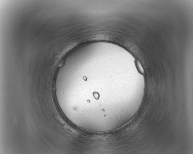 X0000064770625200602241955